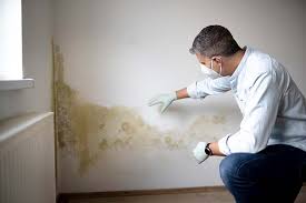 Best Biohazard Mold Removal  in West Kittanning, PA